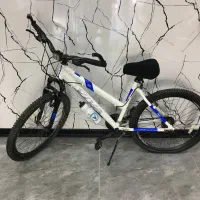 ویوا تایوان