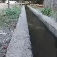 اجاره باغ وسوییت|اجارهٔ کوتاه‌مدت ویلا و باغ|بیستون, |دیوار