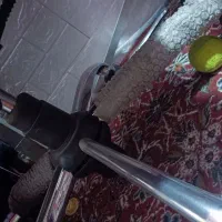 صندلی|دفتر کار|زنجان, |دیوار