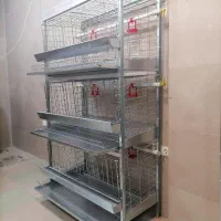 قفس مخصوص مرغ تخم گذار فقط یک عدد موجود است