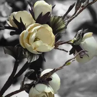 تولید کننده انواع گلهای زیبا  وخوشرنگ فومی|گل مصنوعی|تهران, آجودانیه|دیوار