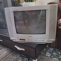 تلوزیون