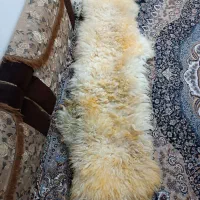 خز صندلی عربی اصل درحد