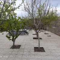ویلاباغ ۳۰۰متر بافت آب برق گازکیلومتر۳۰گلبهار|فروش خانه و ویلا|گلبهار, بیزکی|دیوار