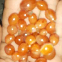 پرنده خدا دعا ورد