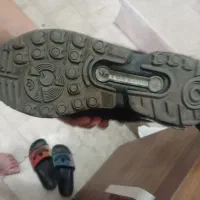 zxکتونی|کیف، کفش، کمربند|باغستان, |دیوار