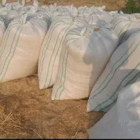 فروش کاه  برای مصرف دام.