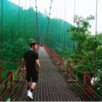 پارتنر پیاده روی