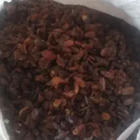 کشمش گله|خوردنی و آشامیدنی|نیشابور, خط کاشمر|دیوار