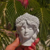 گلدان|گل و گیاه طبیعی|امیدیه, |دیوار