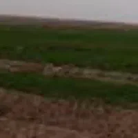 ۴۲هکتارزمین باموتور۶اینچ