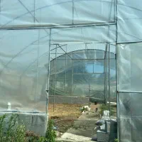 سازه گلخونه ۱۰۰ متری ۱۰×۱۰ لوله گالوانیزه نو|مصالح و تجهیزات ساختمان|تنکابن, |دیوار