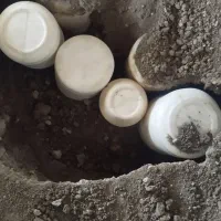 پنیر زیر خاکی گاو