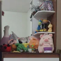 سرویس خواب ام دی اف دومنظوره|تخت و سرویس خواب|فولادشهر, C1|دیوار