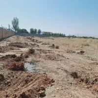 خراطی چوب پالت خدماته پیوندضایعات تیرخریدارم صنوبر|خدمات باغبانی و درختکاری|کمیجان, |دیوار