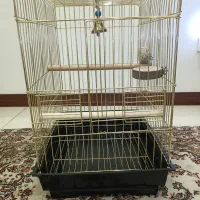 قفس عروس هلندی