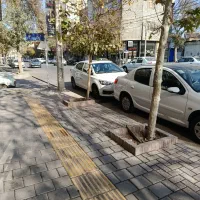 مغازه،علیمردانی