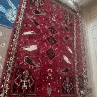 فروش قالی  دست باف|فرش|شیراز, آبیاری|دیوار