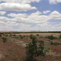 باغ پسته با ۱ساعت اب