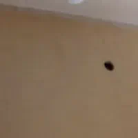 چراغ شارژی هندیجان