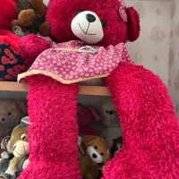 خرس بزرگ و گوگولی|اسباب‌‌بازی|شیراز, تاچارا|دیوار