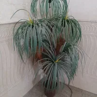 درختچه مصنوعی