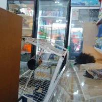 وسایل سوپرمارکت یخچال و قفسه و... جاآجیلی