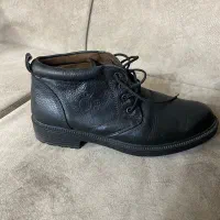 پوتین سایر ۴۲