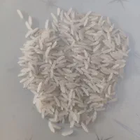 برنج طارم فجر