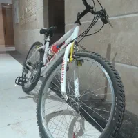 دوچرخه ۲۴ ویوا