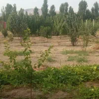 400متر زمین کشاورزی