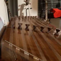 سنتور حرفه ای تایید شده