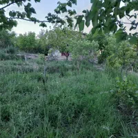 باغ کوچک یا باغچه|فروش خانه و ویلا|صوفیان, |دیوار