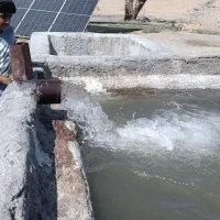 استخدام و دعوت به همکاری تکنسین و مهندس برق مکانیک|استخدام صنعتی، فنی، مهندسی|مشهد, کوثر|دیوار