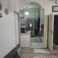 ۴۱متر/فروشنده واقعی/شکوفه