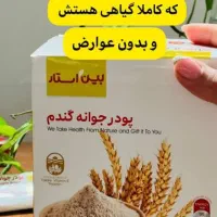 جوانه گندم پین استار اصل