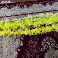 پر مرغی ریسه ای علامت|کلکسیون و سرگرمی|تهران, شهرک زینبیه|دیوار