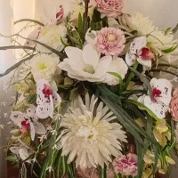 نیروی خدماتی مزون