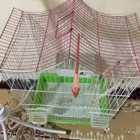 دو عدد قفس کلاسیک|لوازم جانبی حیوانات|تربت جام, شهرک معلم|دیوار