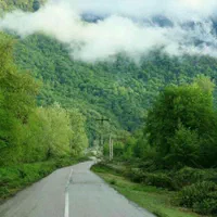 سوئیت در دل طبیعت