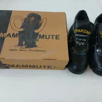 پوتین ایمنی ماموت