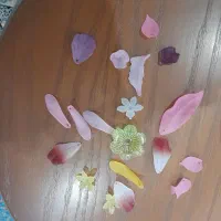 گل های کریستالی