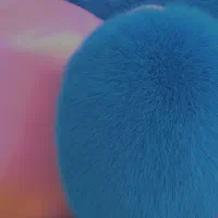 ادمین اینستاگرام