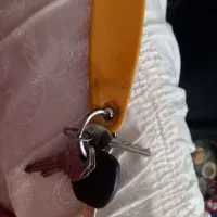 سوییچ پیدا شده|اشیا|اهر, |دیوار