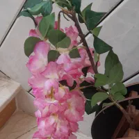 چندشاخه گل|گل مصنوعی|قم, سراجه (۱۵ خرداد)|دیوار