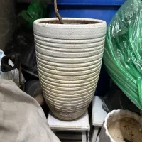 گلدون و پایه|گل و گیاه طبیعی|کرج, گوهردشت|دیوار