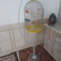 قفس تزئینی پایه دار