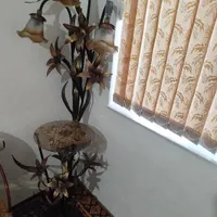 شب خواب