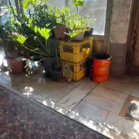 نیازمند سرمایه