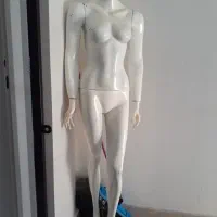 یک عدد مانکن